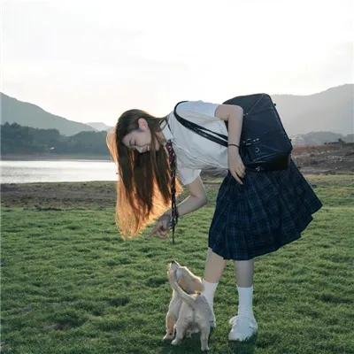 猫片之无喵生还
