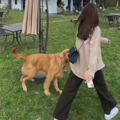 绝色锦衣卫
